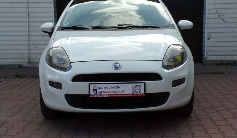 FIAT Punto Evo  | FWD (przód) | Manualna | 76 KM | Biały full