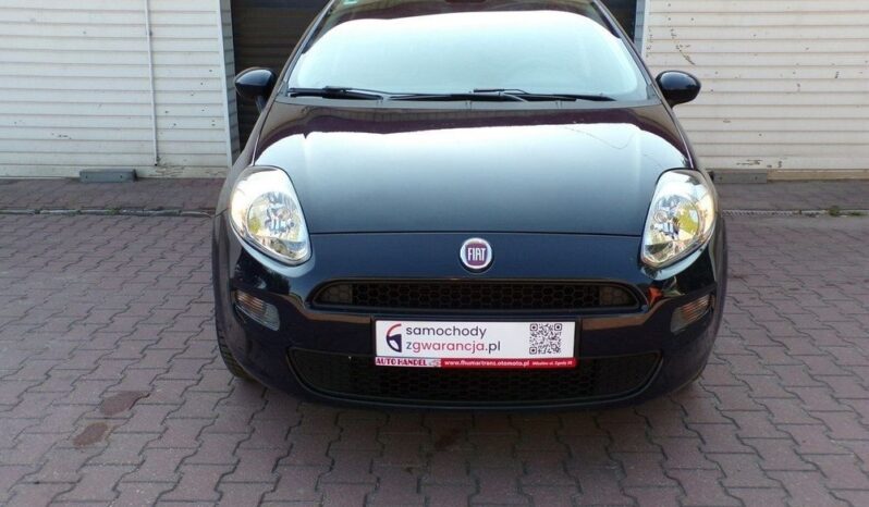 FIAT Punto Evo  | FWD (przód) | Manualna | 70 KM | Niebieski full