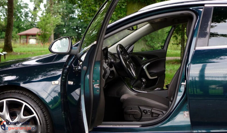 OPEL Insignia  | FWD (przód) | Manualna | 195 KM | Zielony full