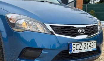 KIA Ceed  | FWD (przód) | Manualna | 90 KM | Niebieski full