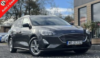 Ford Focus  | Fwd (Przód) | Manualna | 125 Km | Szary