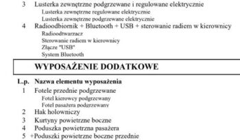RENAULT TRAFIC L1H1 | FWD (przód) | Manualna | 114 KM | Biały full