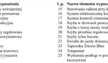 OPEL Vivaro | FWD (przód) | Manualna | 145 KM | Szary full