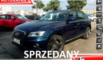 Audi Q5  | 4X4 Stały | Manualna | 180 Km | Niebieski Ciemny