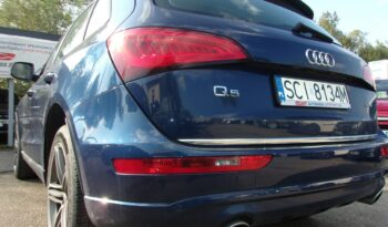 AUDI Q5  | 4×4 Stały | Manualna | 180 KM | niebieski ciemny full