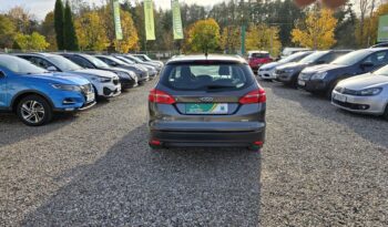 FORD Focus  | FWD (przód) | Manualna | 125 KM | Szary full