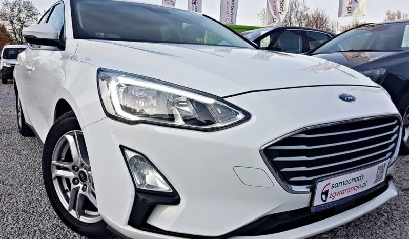 FORD Focus  | FWD (przód) | Manualna | 120 KM | Biały full