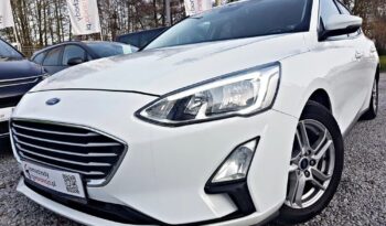 FORD Focus  | FWD (przód) | Manualna | 120 KM | Biały full