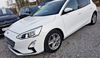 FORD Focus  | FWD (przód) | Manualna | 120 KM | Biały full