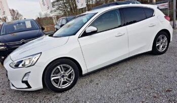 FORD Focus  | FWD (przód) | Manualna | 120 KM | Biały full