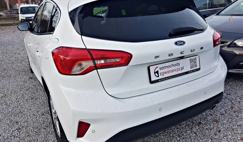 FORD Focus  | FWD (przód) | Manualna | 120 KM | Biały full
