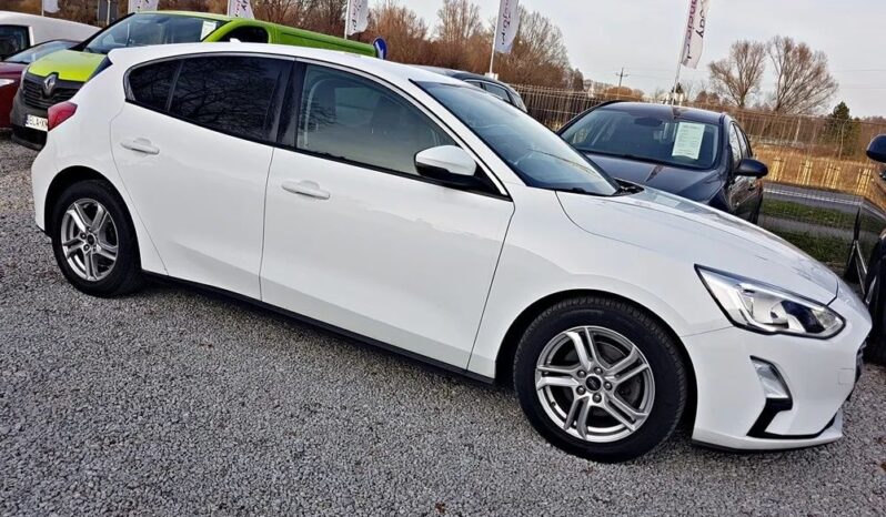 FORD Focus  | FWD (przód) | Manualna | 120 KM | Biały full