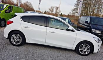FORD Focus  | FWD (przód) | Manualna | 120 KM | Biały full