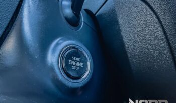 SKODA Octavia  | 4×4 (stały) | Automatyczna | 150 KM | Szary full