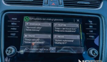 SKODA Octavia  | 4×4 (stały) | Automatyczna | 150 KM | Szary full