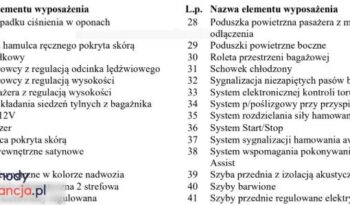 PEUGEOT 308  | FWD (przód) | Automatyczna | 120 KM | Niebieski full