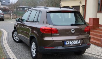 VOLKSWAGEN Tiguan  | FWD (przód) | Manualna | 122 KM | Brązowy full