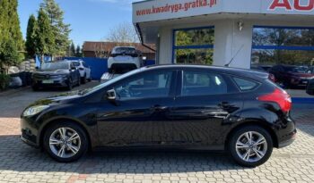 FORD Focus  | FWD (przód) | Manualna | 115 KM | Czarny full