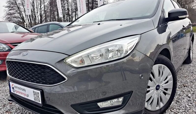 FORD Focus  | FWD (przód) | Manualna | 125 KM | Szary full