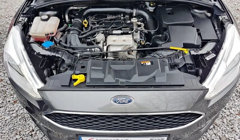 FORD Focus  | FWD (przód) | Manualna | 125 KM | Szary full