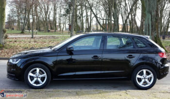 AUDI A3  | FWD (przód) | Manualna | 105 KM | Czarny full