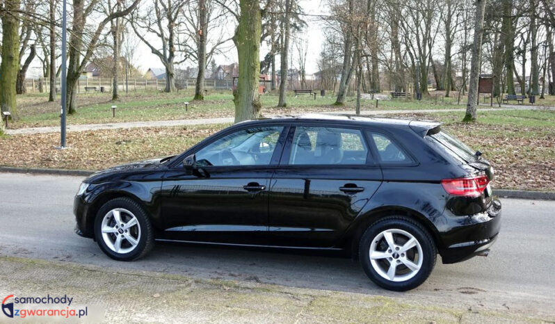 AUDI A3  | FWD (przód) | Manualna | 105 KM | Czarny full