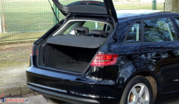 AUDI A3  | FWD (przód) | Manualna | 105 KM | Czarny full