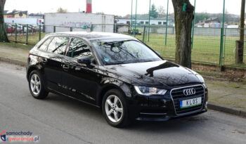 AUDI A3  | FWD (przód) | Manualna | 105 KM | Czarny full