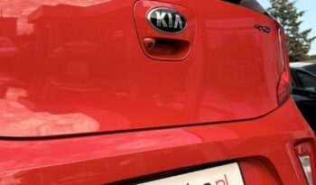KIA Picanto  | FWD (przód) | Manualna | 84 KM | Czerwony full