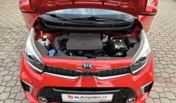 KIA Picanto  | FWD (przód) | Manualna | 84 KM | Czerwony full