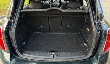 Countryman  | FWD (przód) | Manualna | 98 KM | Zielony full