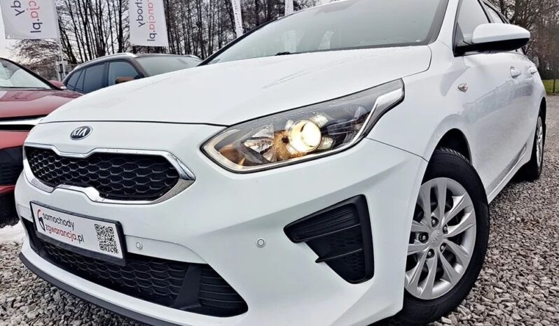 KIA Ceed  | FWD (przód) | Manualna | 135 KM | Biały full