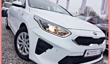 KIA Ceed  | FWD (przód) | Manualna | 135 KM | Biały full