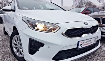 KIA Ceed  | FWD (przód) | Manualna | 135 KM | Biały full