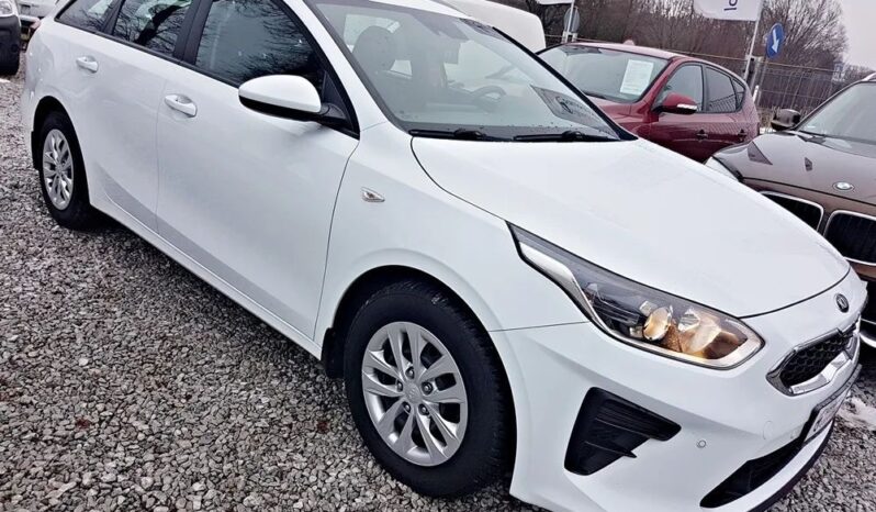 KIA Ceed  | FWD (przód) | Manualna | 135 KM | Biały full