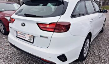 KIA Ceed  | FWD (przód) | Manualna | 135 KM | Biały full