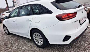 KIA Ceed  | FWD (przód) | Manualna | 135 KM | Biały full