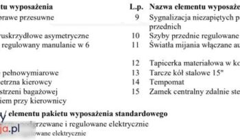 OPEL Combo | FWD (przód) | Manualna | 102 KM | Biały full