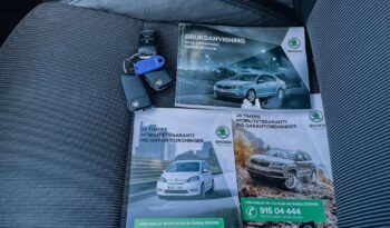 SKODA Octavia  | 4×4 (doł. automatycznie) | Automatyczna | 184 KM | Biały full