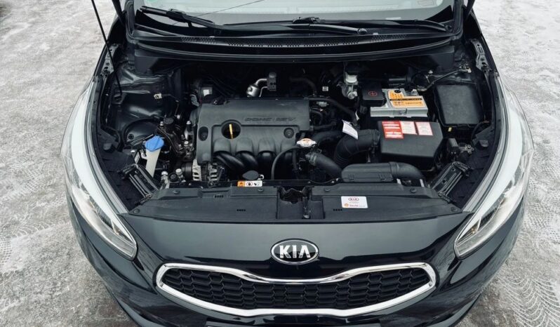 KIA Ceed  | FWD (przód) | Manualna | 100 KM | Czarny full