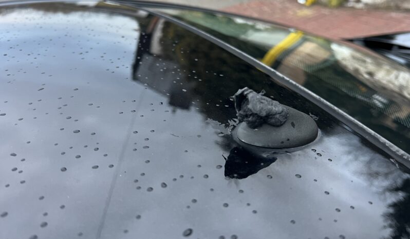 FORD Focus  | FWD (przód) | Manualna | 100 KM | Czarny full