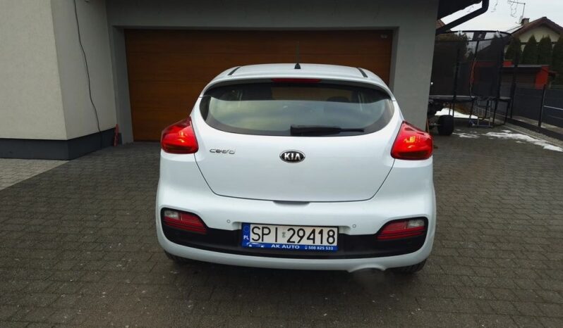 KIA Proceed | FWD (przód) | Manualna | 135 KM | Biały full