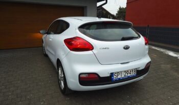 KIA Proceed | FWD (przód) | Manualna | 135 KM | Biały full