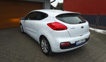 KIA Proceed | FWD (przód) | Manualna | 135 KM | Biały full