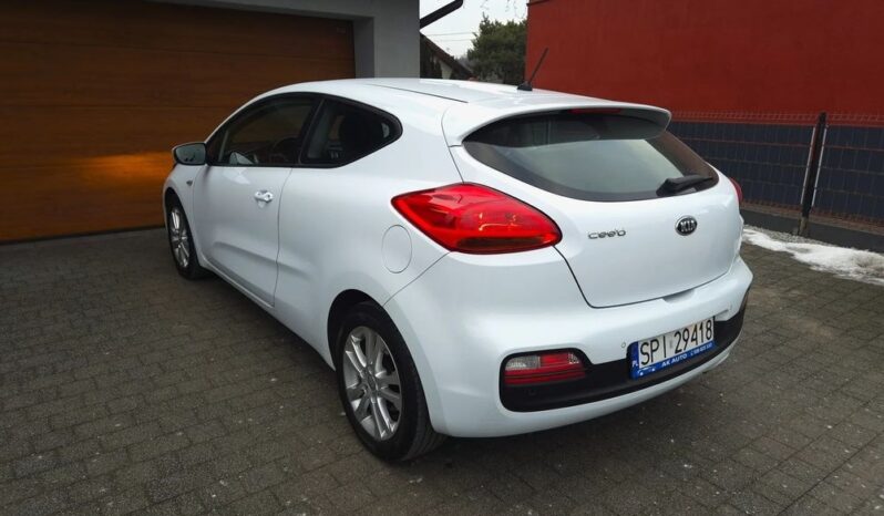 KIA Proceed | FWD (przód) | Manualna | 135 KM | Biały full