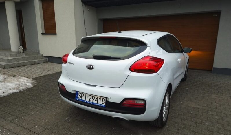 KIA Proceed | FWD (przód) | Manualna | 135 KM | Biały full
