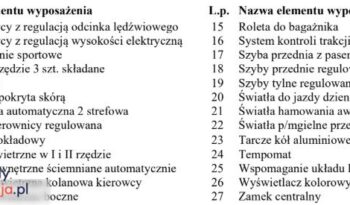 FORD S-Max  | FWD (przód) | Manualna | 115 KM | Szary full