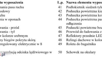 KIA Niro  | FWD (przód) | Automatyczna | 141 KM | Szary full