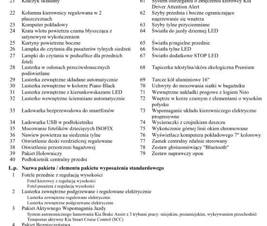 KIA Niro  | FWD (przód) | Automatyczna | 141 KM | Szary full