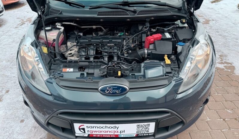 FORD Fiesta  | FWD (przód) | Manualna | 82 KM | Szary full